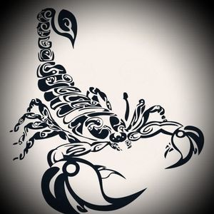 Meet your Posher, Davy